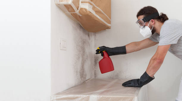 Professional Attic Mold Remediation technician working in Grimesland, NC